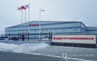 好麗友在華建成土豆產(chǎn)品原料工廠，技術(shù)進出口布局深化